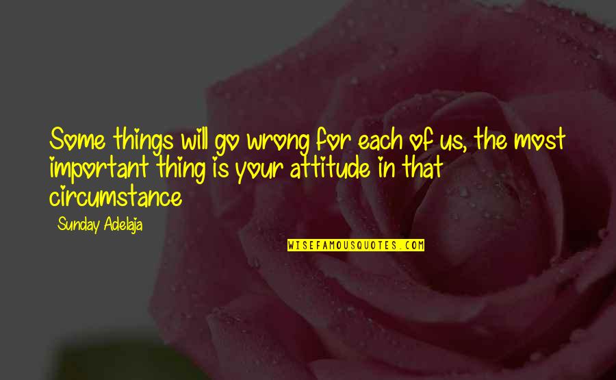 Important Things In Your Life Quotes By Sunday Adelaja: Some things will go wrong for each of