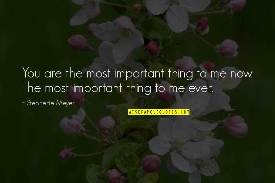 Important To Me Quotes By Stephenie Meyer: You are the most important thing to me