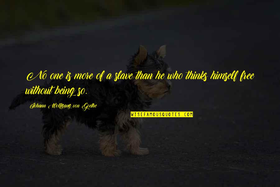 Importanza Dellacqua Quotes By Johann Wolfgang Von Goethe: No one is more of a slave than