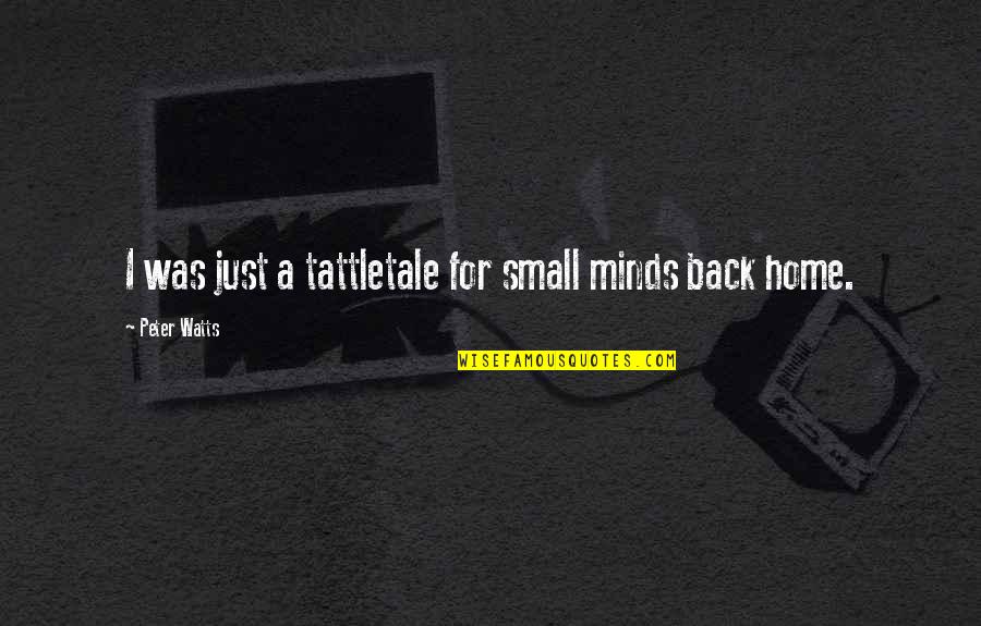 Importanza Dellacqua Quotes By Peter Watts: I was just a tattletale for small minds
