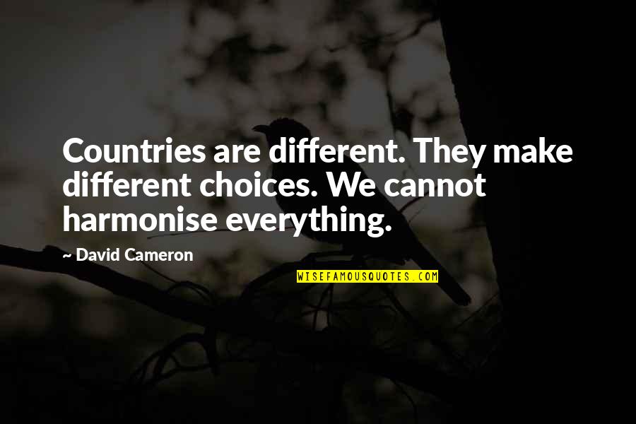 Imposingly Synonym Quotes By David Cameron: Countries are different. They make different choices. We