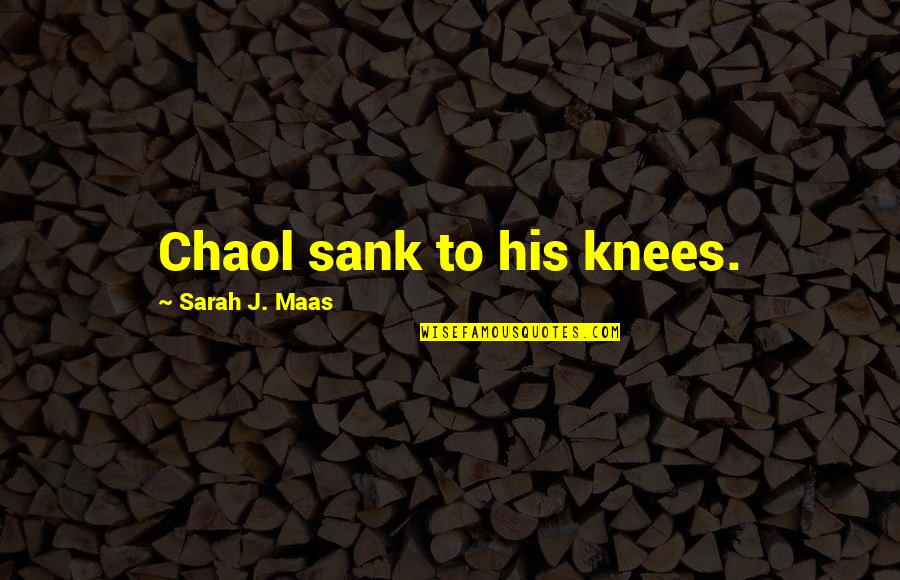 Impossible Mission Quotes By Sarah J. Maas: Chaol sank to his knees.