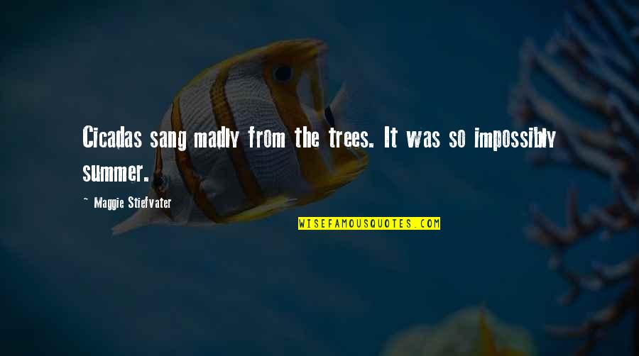 Impossibly Quotes By Maggie Stiefvater: Cicadas sang madly from the trees. It was Impossibly Quotes By Maggie Stiefvater: Cicadas sang madly from the trees. It was