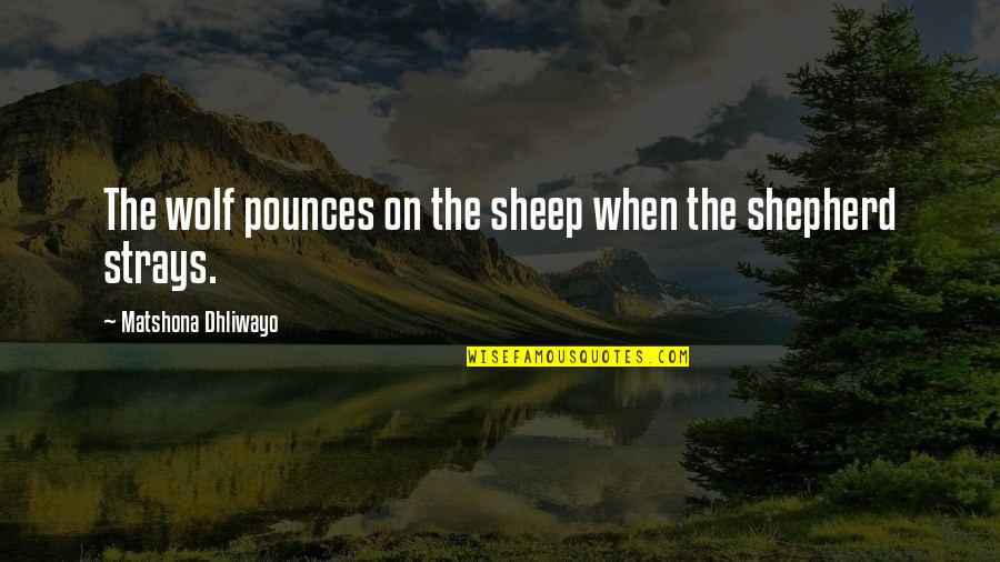 Imprensa Falsa Quotes By Matshona Dhliwayo: The wolf pounces on the sheep when the
