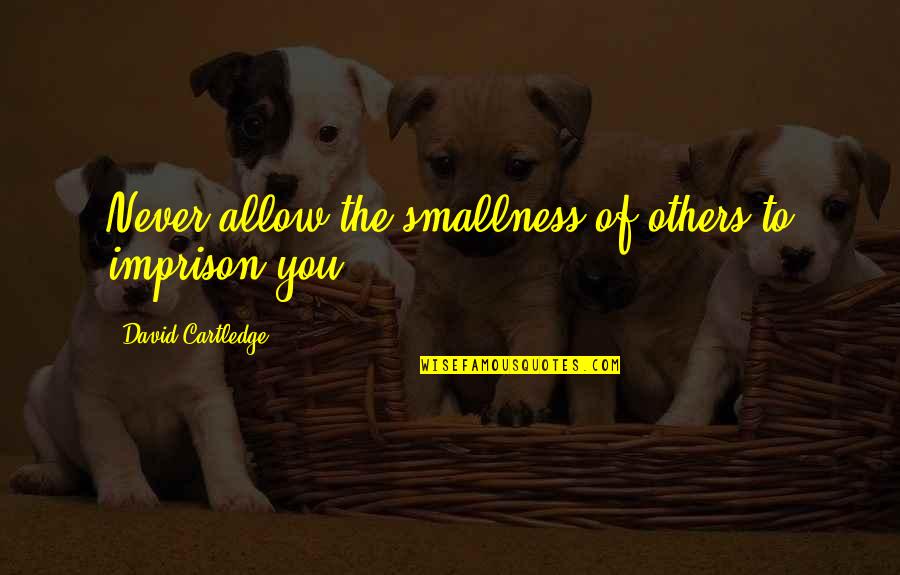 Imprison Quotes By David Cartledge: Never allow the smallness of others to imprison Imprison Quotes By David Cartledge: Never allow the smallness of others to imprison