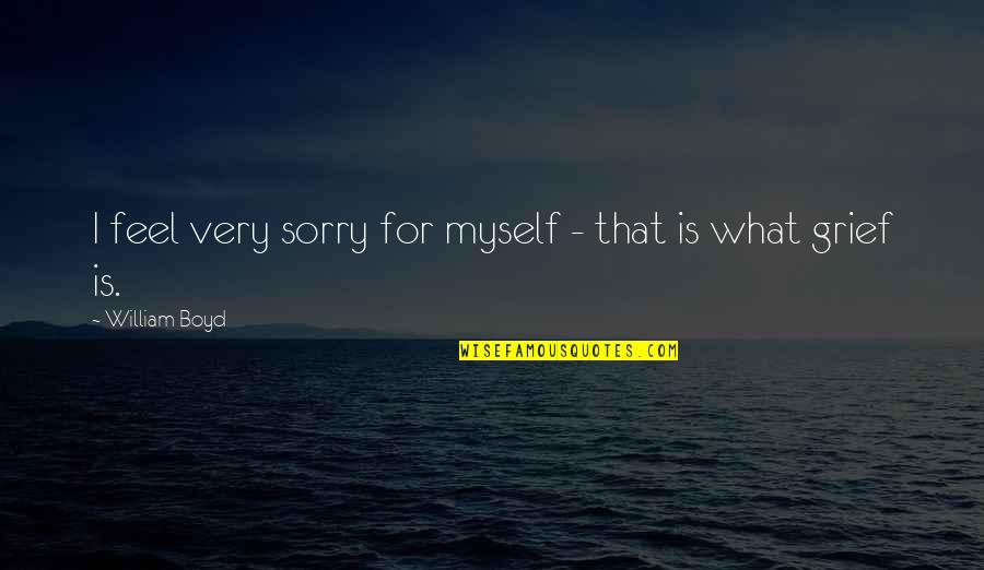 Imprisonedin Quotes By William Boyd: I feel very sorry for myself - that Imprisonedin Quotes By William Boyd: I feel very sorry for myself - that