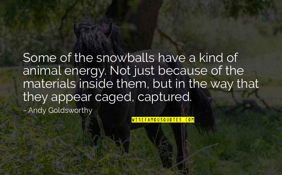 Imprisonment And Race Quotes By Andy Goldsworthy: Some of the snowballs have a kind of
