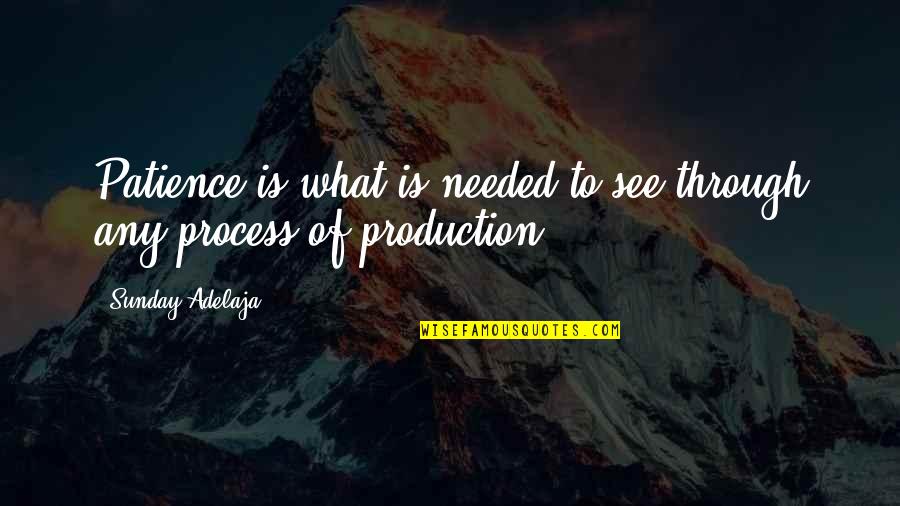 Impropio Del Quotes By Sunday Adelaja: Patience is what is needed to see through