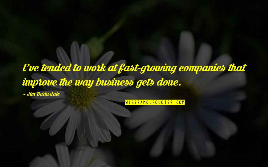 Improve Business Quotes By Jim Barksdale: I've tended to work at fast-growing companies that