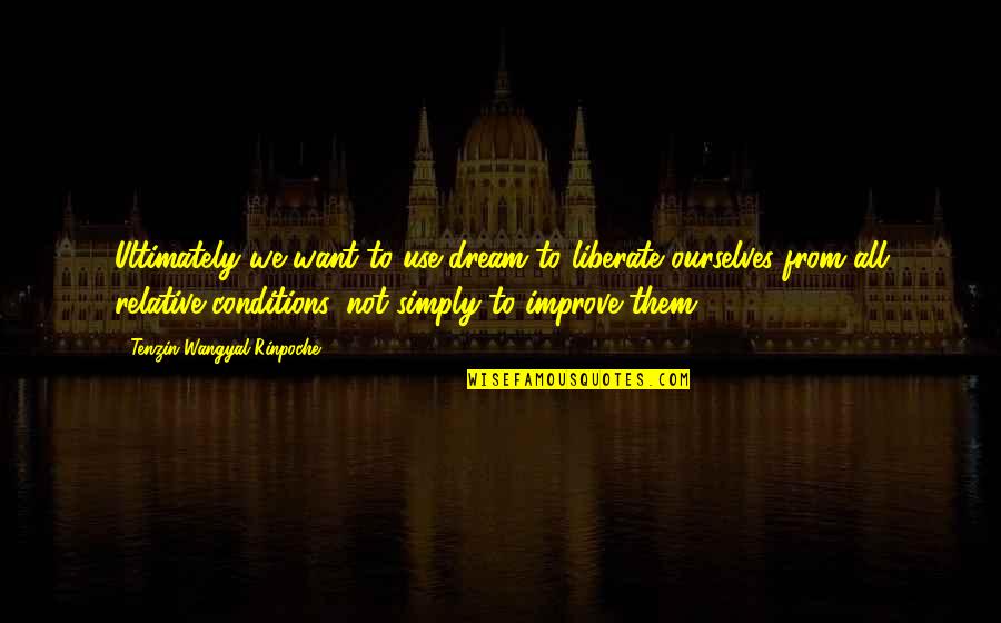 Improve Ourselves Quotes By Tenzin Wangyal Rinpoche: Ultimately we want to use dream to liberate