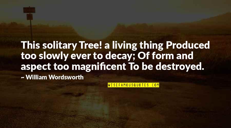 Improvemnet Quotes By William Wordsworth: This solitary Tree! a living thing Produced too