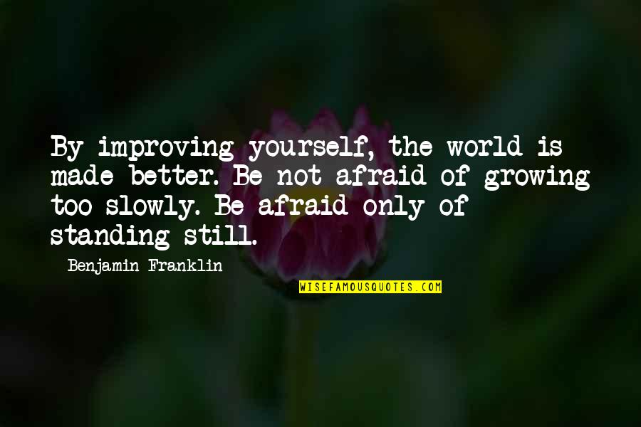 Improving Yourself Quotes By Benjamin Franklin: By improving yourself, the world is made better.