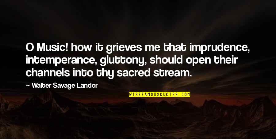 Imprudence Quotes By Walter Savage Landor: O Music! how it grieves me that imprudence, Imprudence Quotes By Walter Savage Landor: O Music! how it grieves me that imprudence,