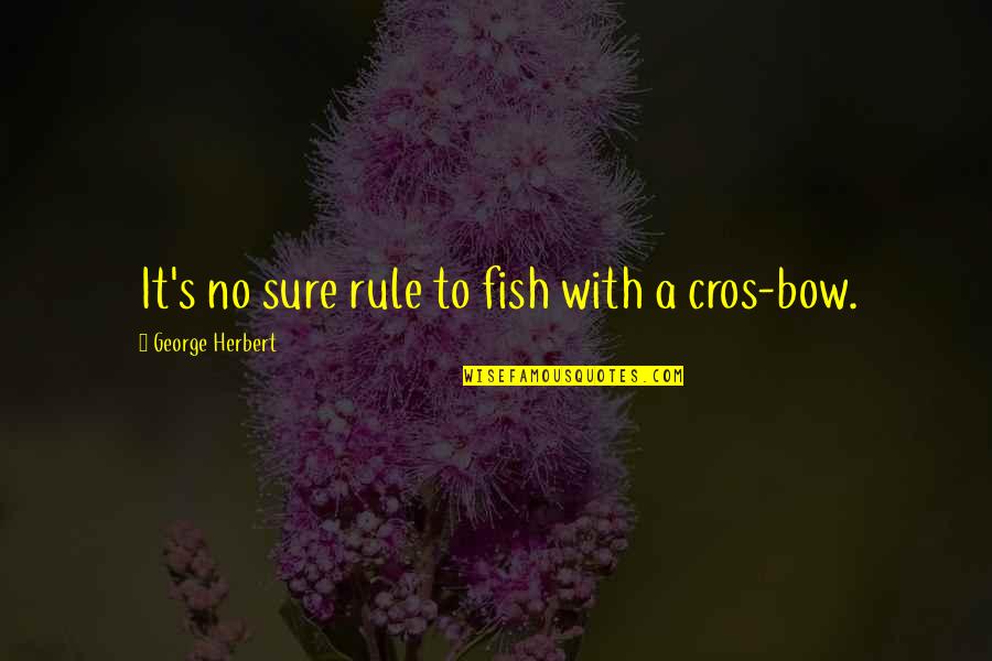 Impuestos In English Quotes By George Herbert: It's no sure rule to fish with a Impuestos In English Quotes By George Herbert: It's no sure rule to fish with a