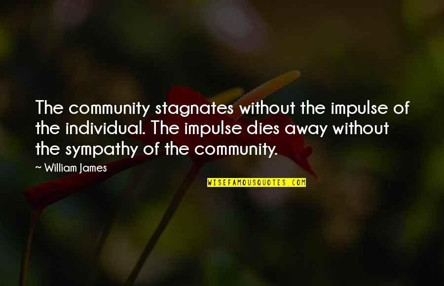Impulse Quotes By William James: The community stagnates without the impulse of the