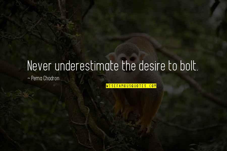 Impulses Synonym Quotes By Pema Chodron: Never underestimate the desire to bolt.