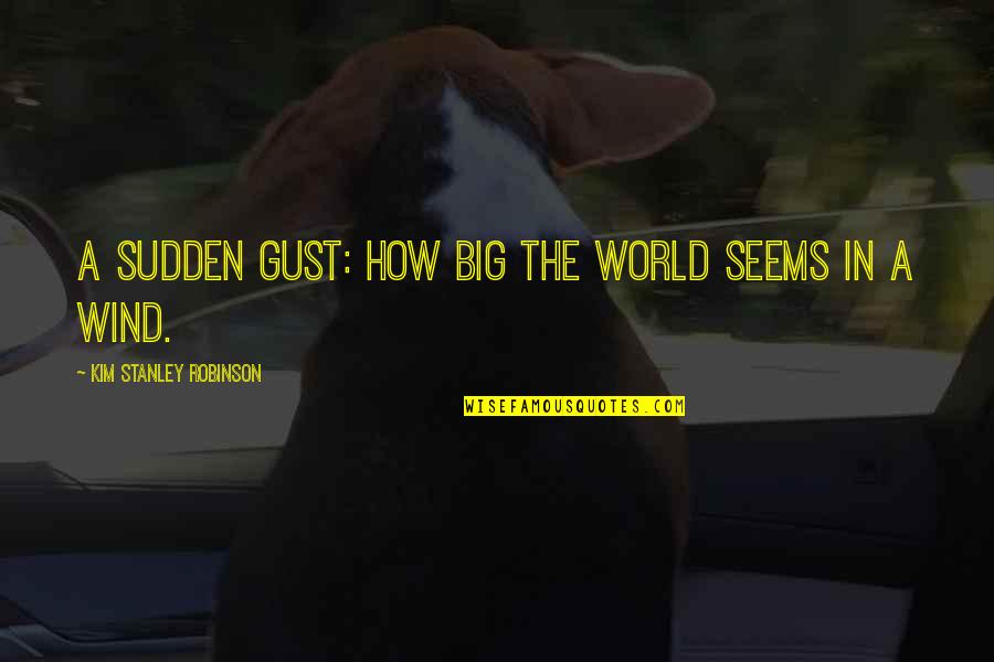 In A Big World Quotes By Kim Stanley Robinson: A sudden gust: How big the world seems