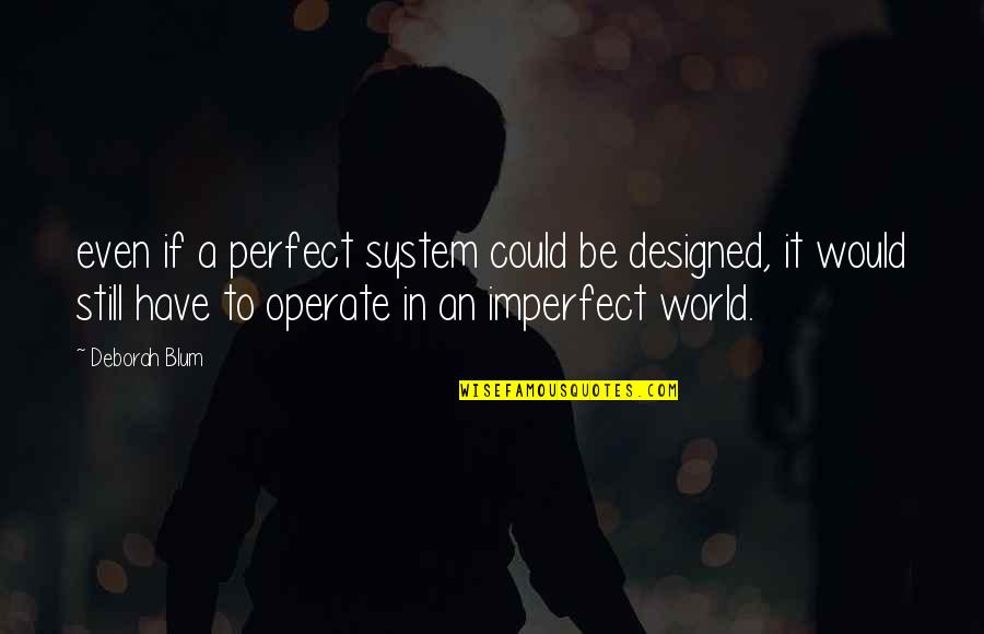 In A Perfect World Quotes By Deborah Blum: even if a perfect system could be designed,