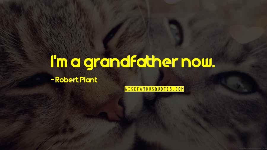 In Charge Of Your Own Destiny Quotes By Robert Plant: I'm a grandfather now.