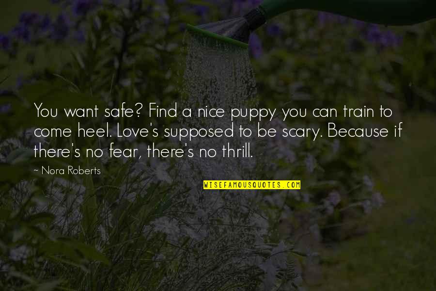 In Deep Depression Quotes By Nora Roberts: You want safe? Find a nice puppy you