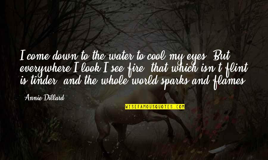 In Flames Come Quotes By Annie Dillard: I come down to the water to cool In Flames Come Quotes By Annie Dillard: I come down to the water to cool