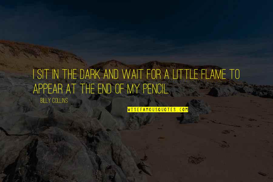 In Flames Quotes By Billy Collins: I sit in the dark and wait for