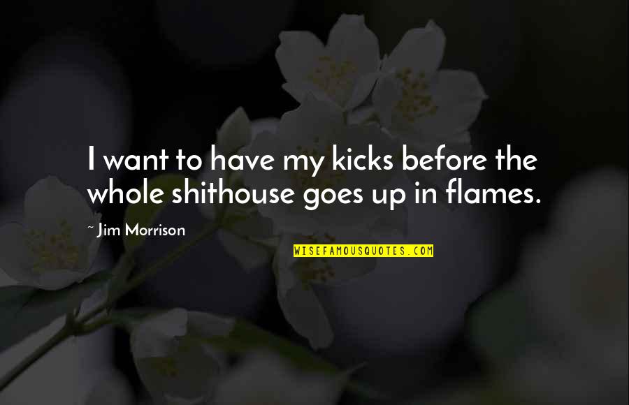 In Flames Quotes By Jim Morrison: I want to have my kicks before the