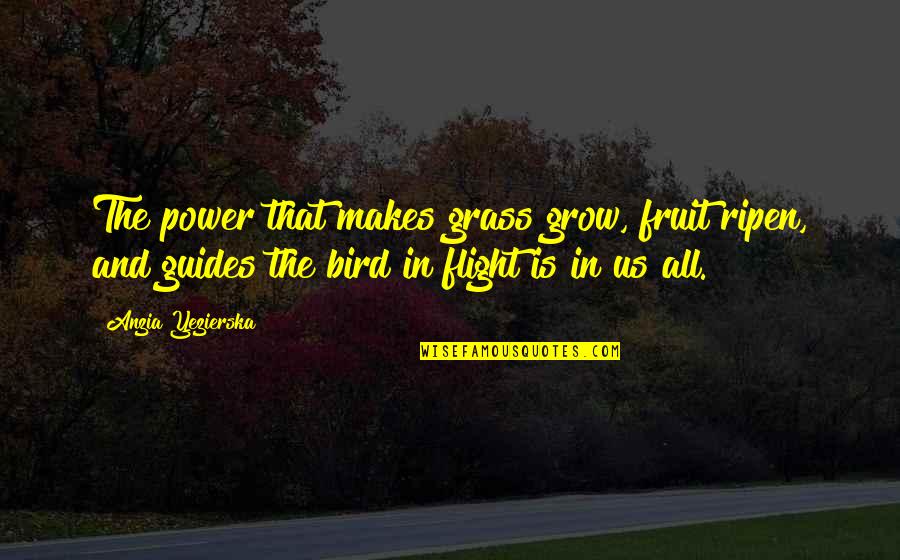 In Flight Quotes By Anzia Yezierska: The power that makes grass grow, fruit ripen,