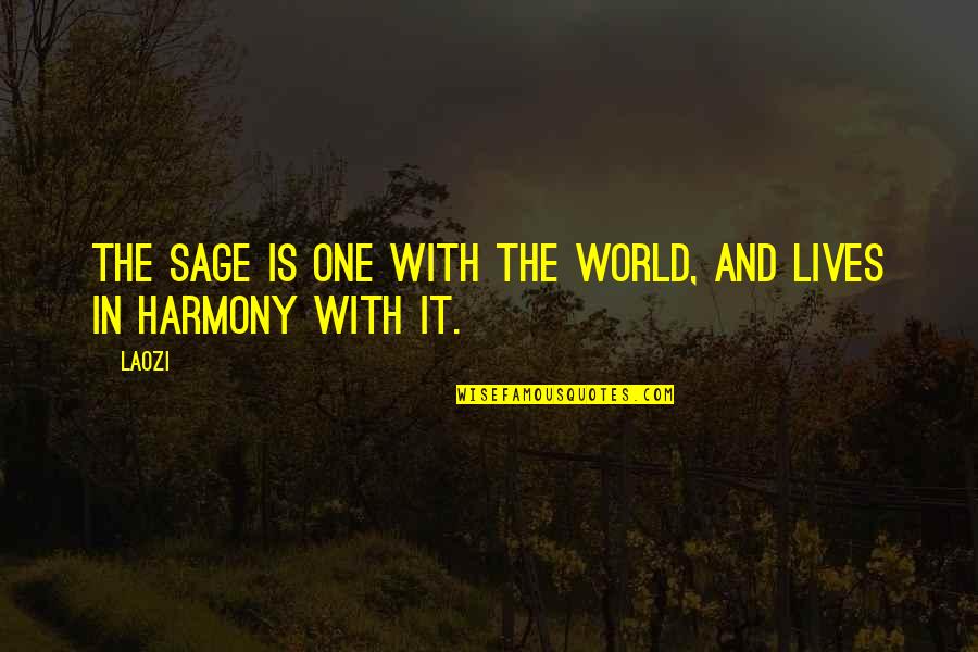 In Harmony Quotes By Laozi: The sage is one with the world, and