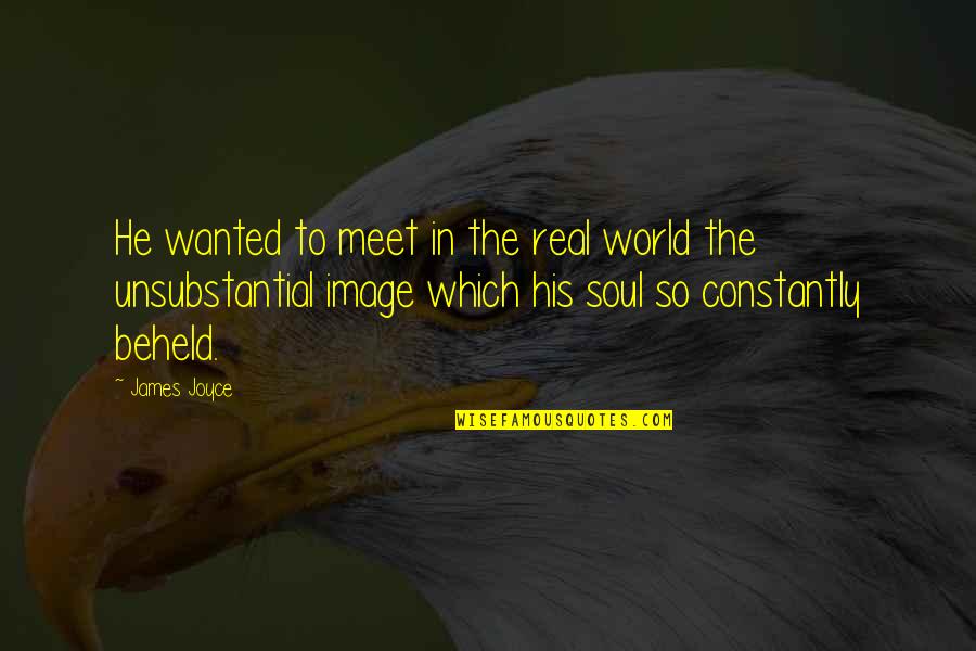 In His Image Quotes By James Joyce: He wanted to meet in the real world