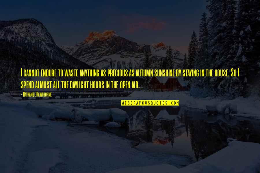 In House Quotes By Nathaniel Hawthorne: I cannot endure to waste anything as precious