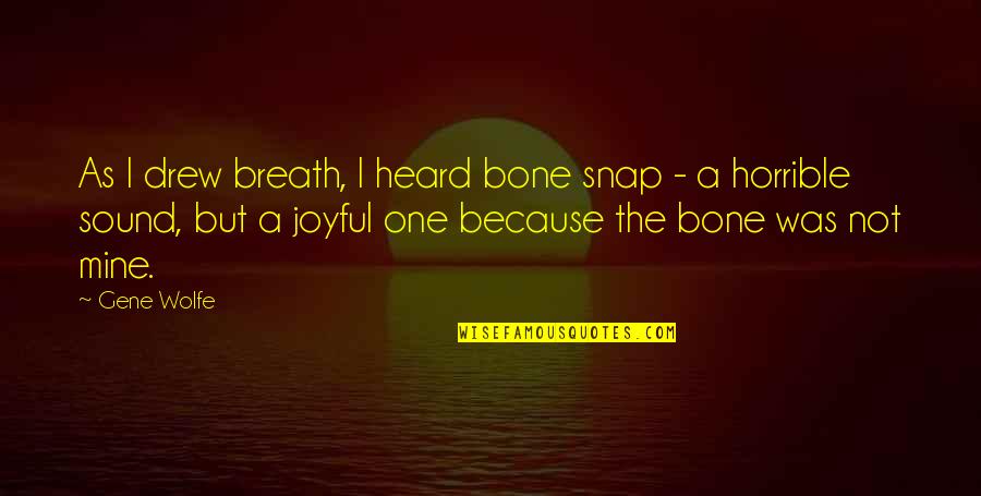 In Just One Snap Quotes By Gene Wolfe: As I drew breath, I heard bone snap