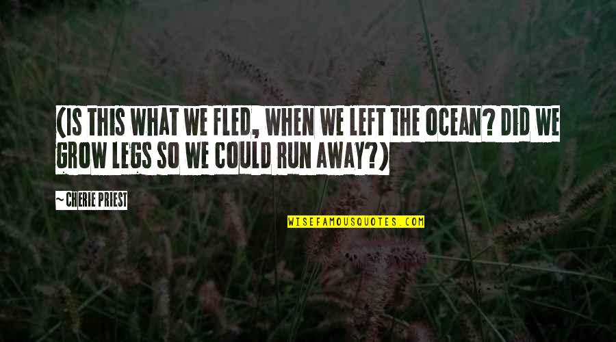In Law Anniversary Quotes By Cherie Priest: (Is this what we fled, when we left In Law Anniversary Quotes By Cherie Priest: (Is this what we fled, when we left