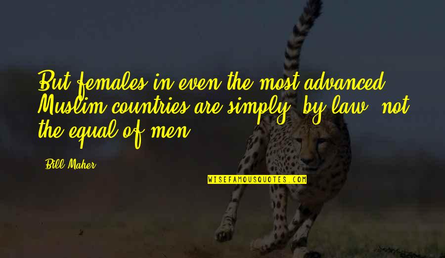 In Law Quotes By Bill Maher: But females in even the most advanced Muslim In Law Quotes By Bill Maher: But females in even the most advanced Muslim