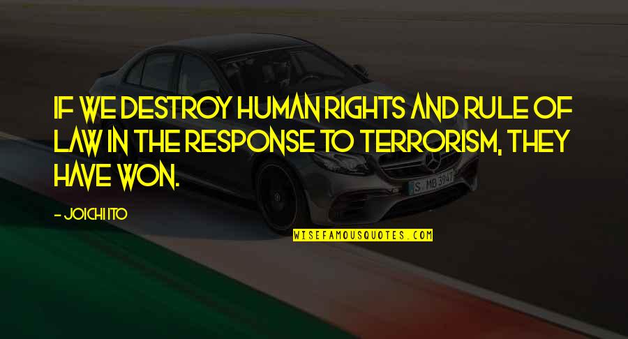 In Law Quotes By Joichi Ito: If we destroy human rights and rule of