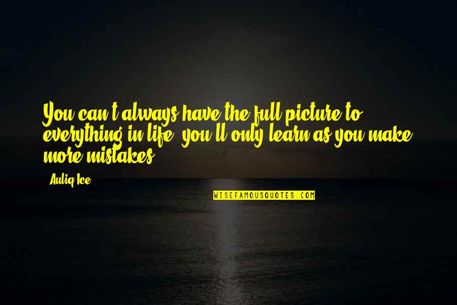 In Life Mistakes Quotes By Auliq Ice: You can't always have the full picture to