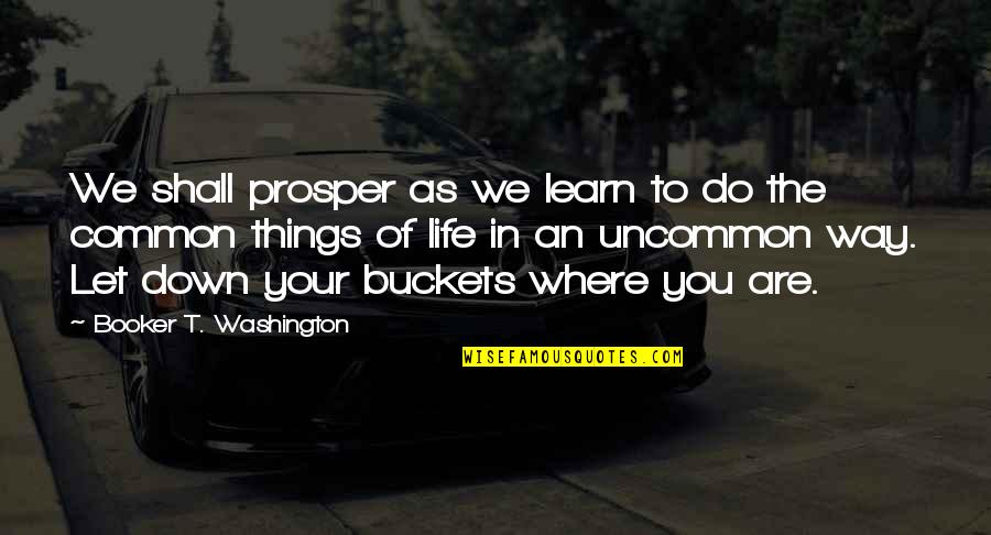 In Life We Learn Quotes By Booker T. Washington: We shall prosper as we learn to do