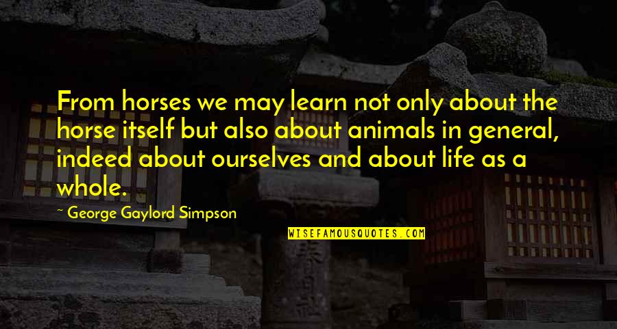 In Life We Learn Quotes By George Gaylord Simpson: From horses we may learn not only about