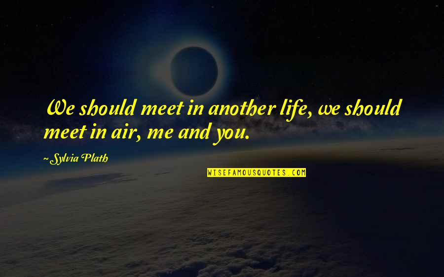 In Life We Meet Quotes By Sylvia Plath: We should meet in another life, we should