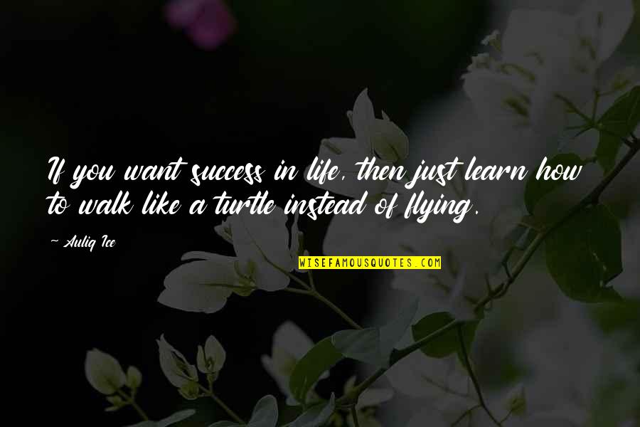 In Life You Learn Quotes By Auliq Ice: If you want success in life, then just In Life You Learn Quotes By Auliq Ice: If you want success in life, then just