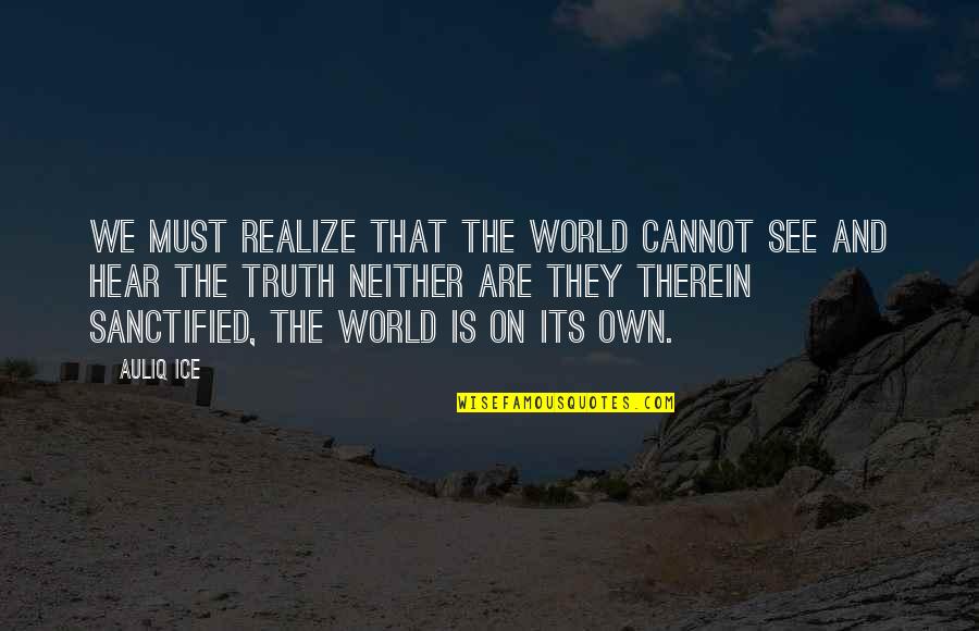 In Life You'll Realize Quotes By Auliq Ice: We must realize that the world cannot see