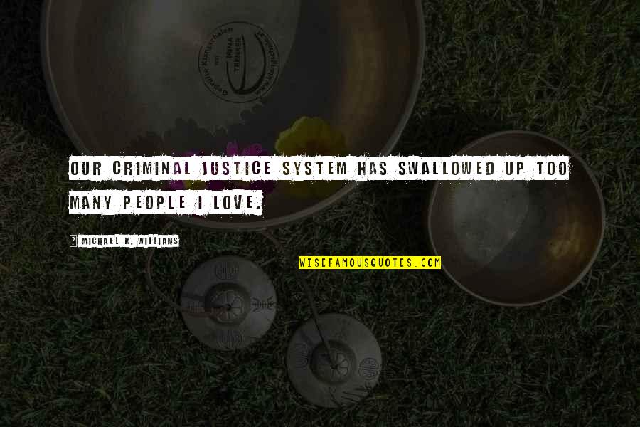 In Love With A Criminal Quotes By Michael K. Williams: Our criminal justice system has swallowed up too