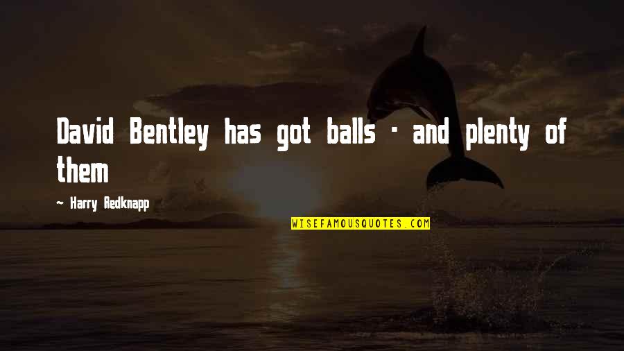 In Loving Memory Of Friend Quotes By Harry Redknapp: David Bentley has got balls - and plenty