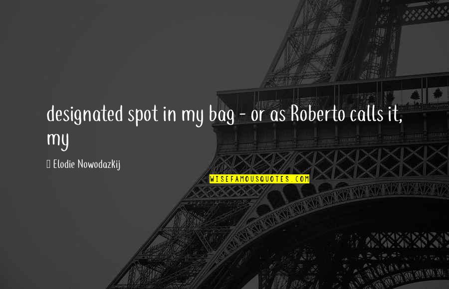 In My Bag Quotes By Elodie Nowodazkij: designated spot in my bag - or as