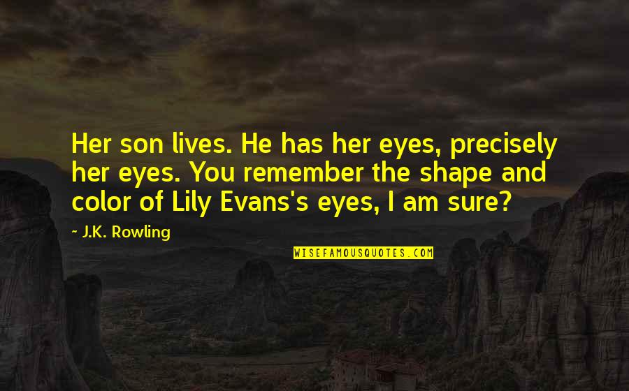 In My Son's Eyes Quotes By J.K. Rowling: Her son lives. He has her eyes, precisely