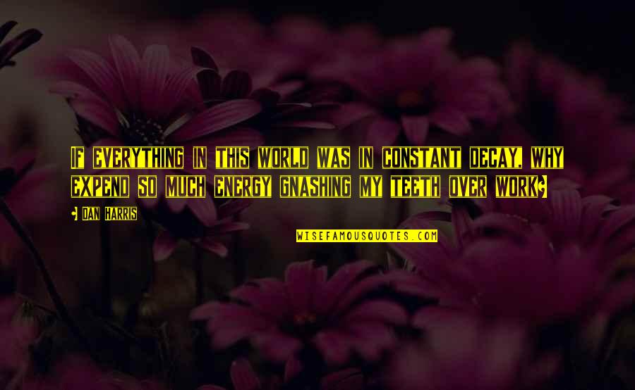 In My World Quotes By Dan Harris: If everything in this world was in constant In My World Quotes By Dan Harris: If everything in this world was in constant