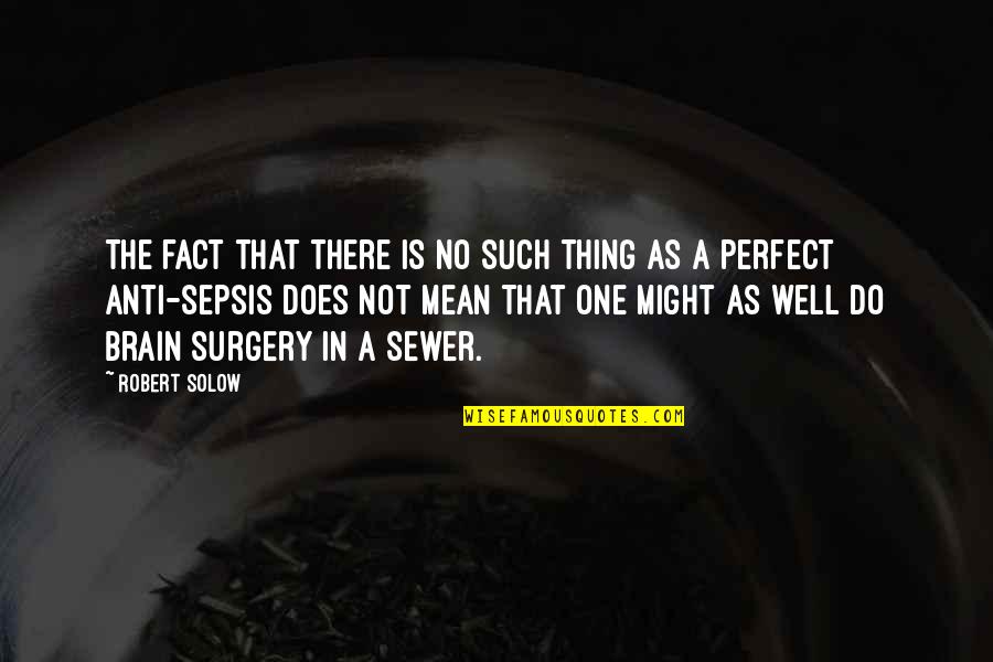 In Not Perfect Quotes By Robert Solow: The fact that there is no such thing