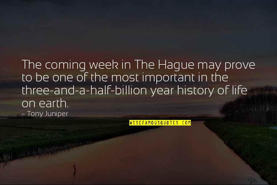 In One Year Quotes By Tony Juniper: The coming week in The Hague may prove