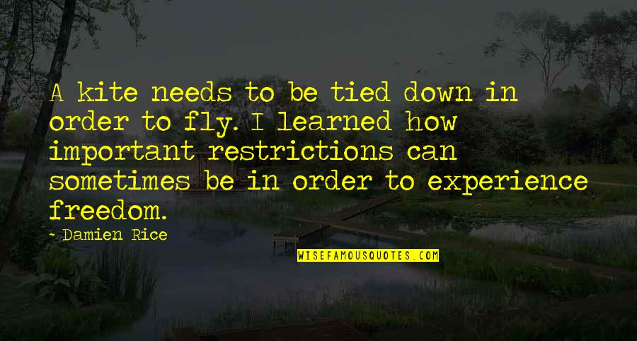 In Order To Fly Quotes By Damien Rice: A kite needs to be tied down in