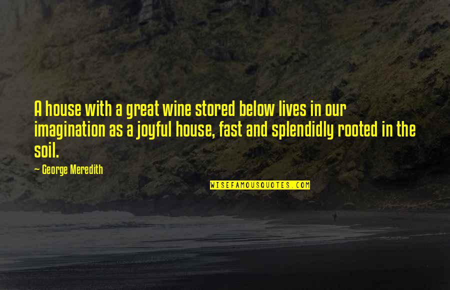 In Our House Quotes By George Meredith: A house with a great wine stored below